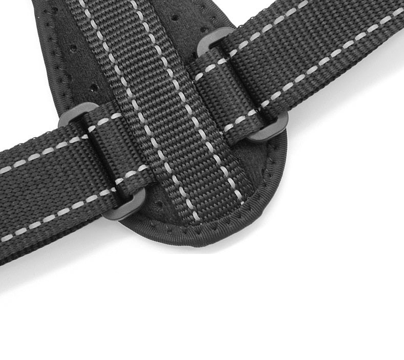 BackFix™  Posture Correction Belt